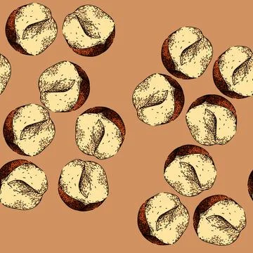 Pattern hazelnut nut natural sketch hand drawn Ilustración de archivo