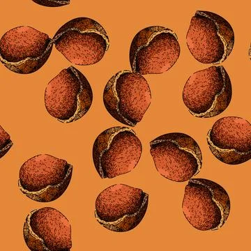 Pattern hazelnut nut sketch hand drawn 스톡 일러스트