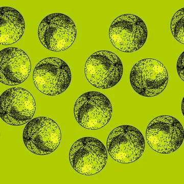 Pattern healthy gooseberry sketch hand drawn Stock Illustration