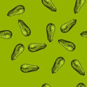 Pattern healthy marrow vegetable sketch hand drawn Stock Illustration