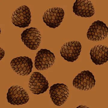 Pattern healthy pine nut sketch hand drawn 库存插图