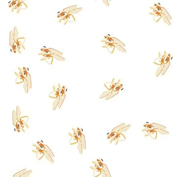Pattern heels shoes wedding cartoon vector Stock Illustration