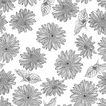 Pattern with heliopsis Stock Illustration