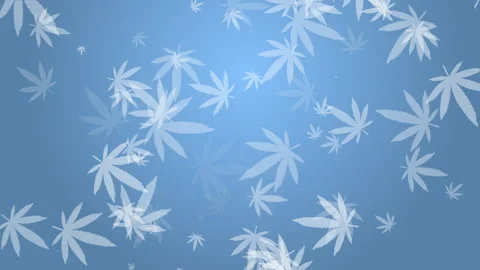 Pattern of hemp leaves on a blue background. Abstract looped animation. Stock Footage 284933443