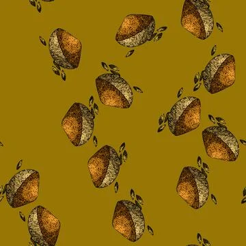 Pattern herb cumin sketch hand drawn Stock Illustration