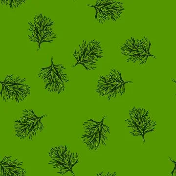 Pattern herb dill sketch hand drawn Stock Illustration