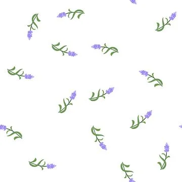 Pattern herb lavender cartoon vector イラスト素材