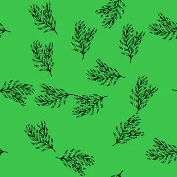 Pattern herb tarragon sketch hand drawn Stock Illustration
