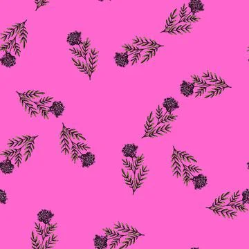 Pattern herb valerian sketch hand drawn Stock Illustration
