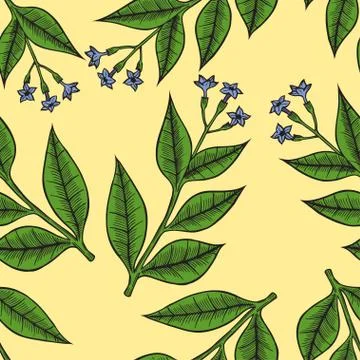 Pattern herbs and flowers イラスト素材
