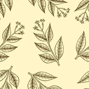 Pattern herbs and flowers イラスト素材