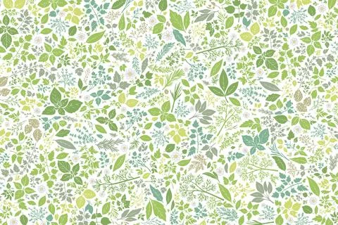 A pattern of herbs covering the entire front. Illustrazione stock