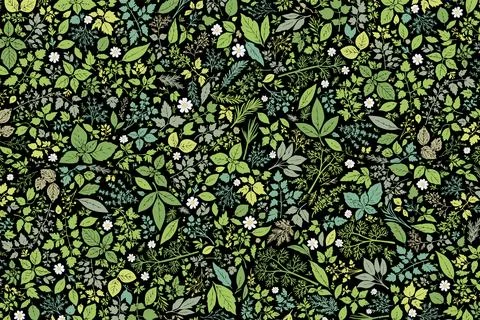 A pattern of herbs covering the entire front. Black. Stock Illustration