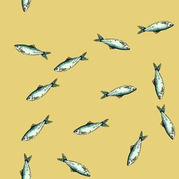 Pattern herring fish sketch hand drawn Stock Illustration