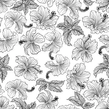 Pattern with hibiscus Stock Illustration