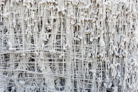 Pattern of holy thread background. Many white tassels made of many tied hol.. Stock Photos