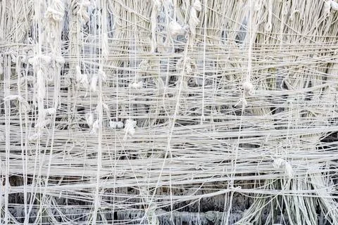 Pattern of holy thread background. Many white tassels made of many tied hol.. Stock Photos