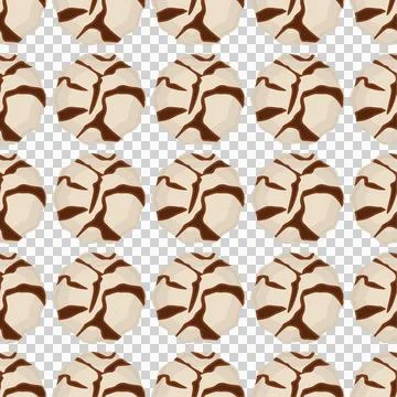 Pattern homemade cookie different taste in pastry biscuit Stock Illustration