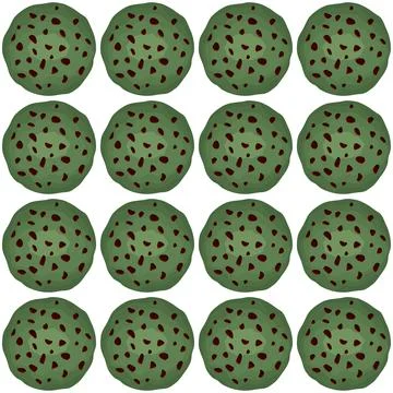 Pattern homemade cookie different taste in pastry biscuit Stock Illustration