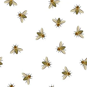 Pattern Honey bee insect flying isolated white background Stock Illustration