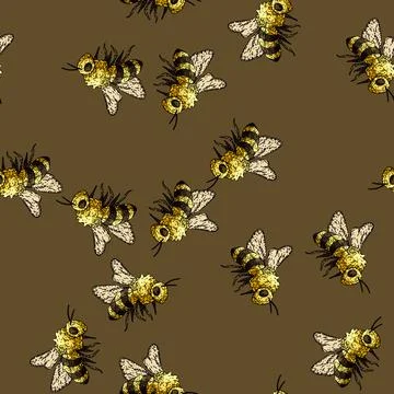 Pattern honey bee sketch hand drawn 스톡 일러스트