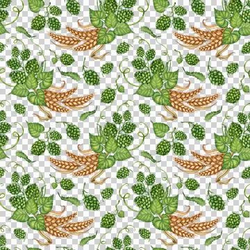 Pattern hops and bunches of wheat watercolor Stock Illustration