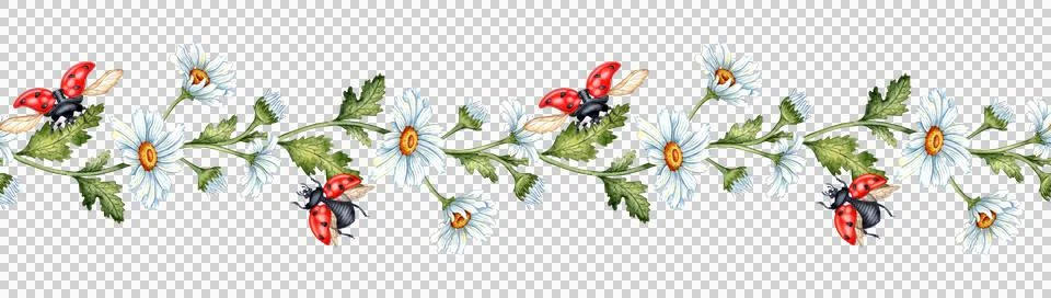 Pattern horizontal daisies and ladybugs watercolor Stock Illustration