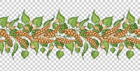 Pattern horizontal hops and ears of wheat watercolor Illustrazione stock