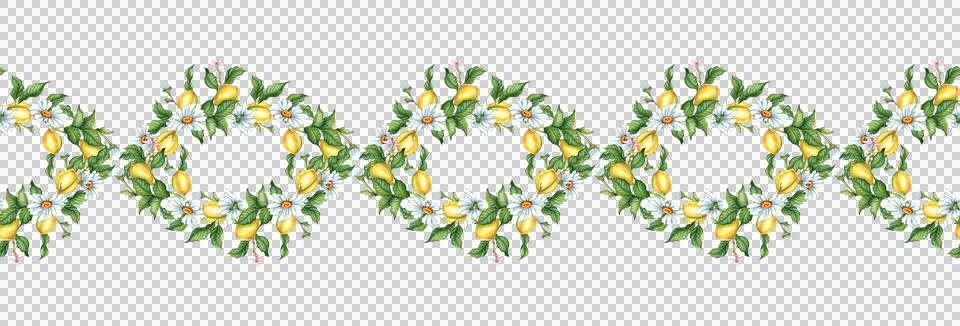 Pattern horizontal ripe lemons and daisies watercolor 스톡 일러스트