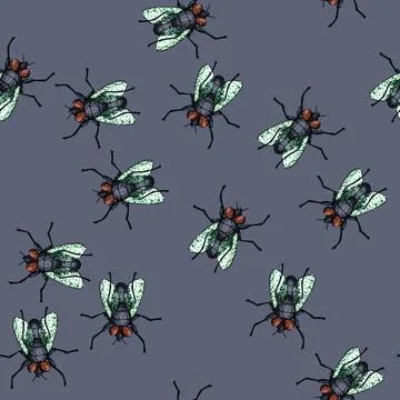 Pattern house fly sketch hand drawn Stock Illustration