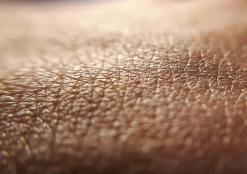 Pattern of human dark skin with cells and lines texture Stock Photos