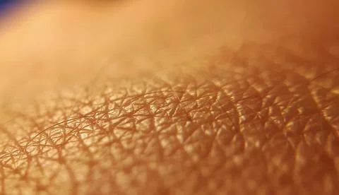 Pattern of human dark skin with cells and lines texture. Stock Photos
