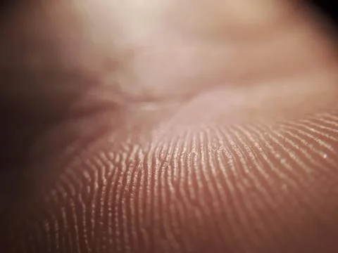 Pattern of human dark skin with cells and lines texture Stock Photos