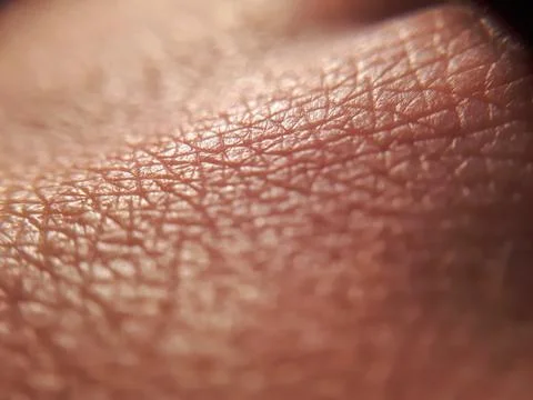 Pattern of human dark skin with cells and lines texture Stock Photos