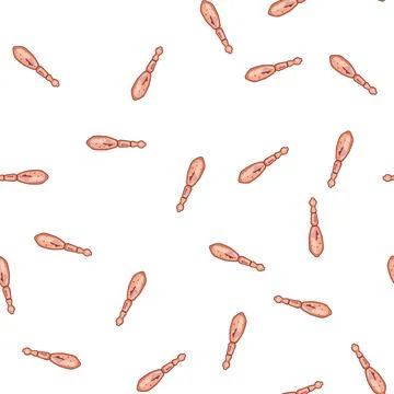 Pattern Human parasite worm medical vector Stock Illustration