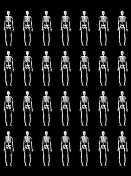 Pattern with a human skeleton on a black background Stock Photos