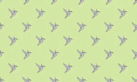 Pattern of hummingbirds flying on light green background Stock Illustration