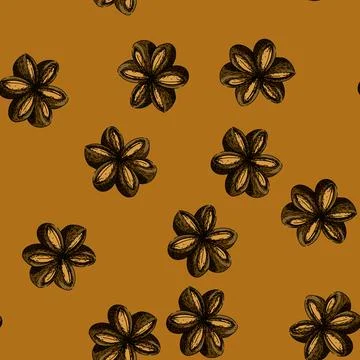 Pattern inca sacha inchi sketch hand drawn Stock Illustration