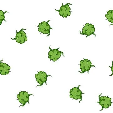 Pattern indica weed bud cartoon vector Stock Illustration