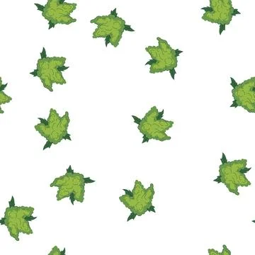 Pattern indica weed bud cartoon vector Stock Illustration