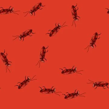 Pattern infestation cockroach sketch hand drawn Stock Illustration