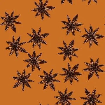 Pattern ingredient anise star sketch hand drawn Stock Illustration