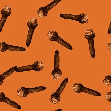 Pattern ingredient clove spice sketch hand drawn Stock Illustration