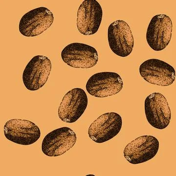 Pattern ingredient nutmeg spice sketch hand drawn Stock Illustration