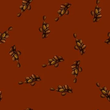 Pattern ingredient pine nut sketch hand drawn Stock Illustration