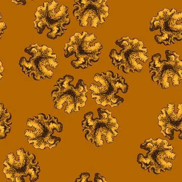 Pattern ingredient walnut sketch hand drawn イラスト素材