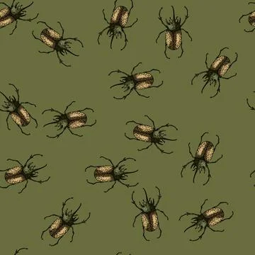 Pattern insect beetle sketch hand drawn Stock Illustration