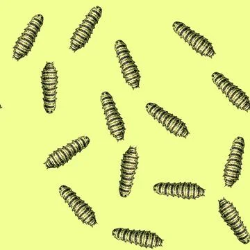 Pattern insect caterpillar sketch hand drawn Stock Illustration