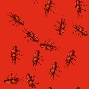 Pattern insect cockroach sketch hand drawn Stock Illustration