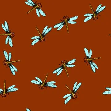 Pattern insect dragonfly sketch hand drawn Stock Illustration